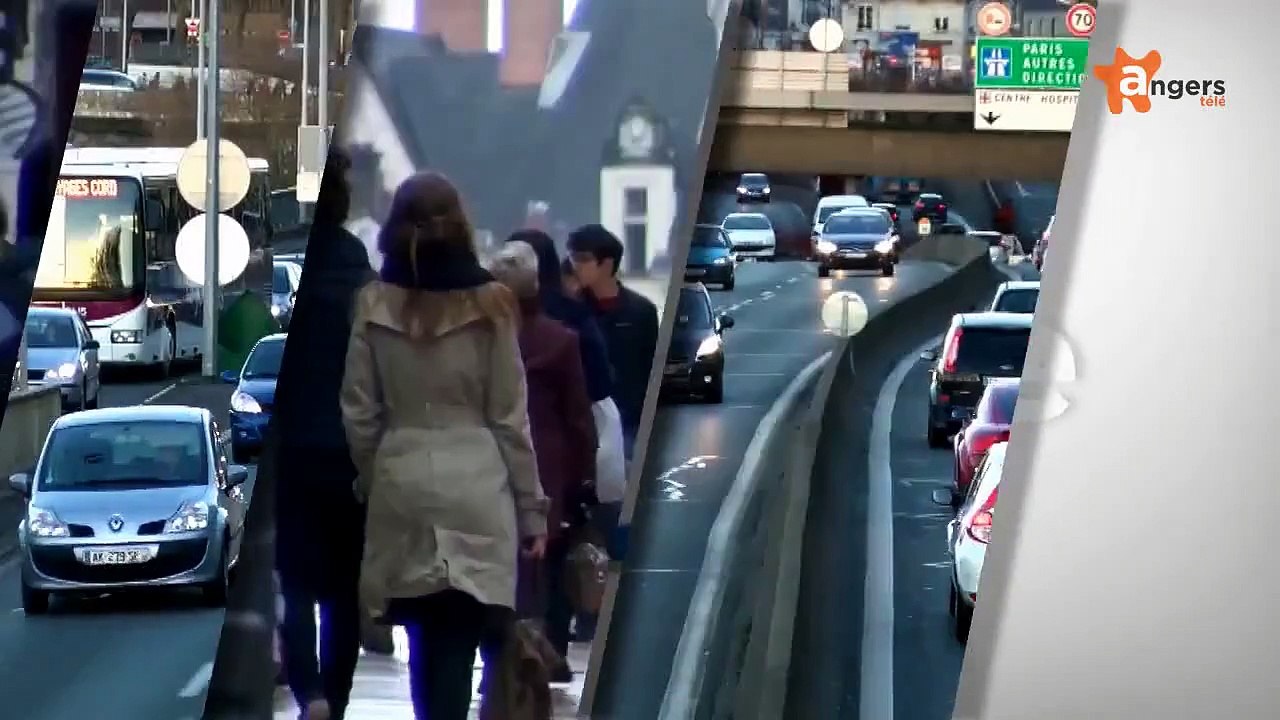 ECO DE L'ANJOU 2EME SEMESTRE 2015 [S.2015] [E.38] - Eco de l'Anjou du 15 septembre 2015 : Spécial viticulture