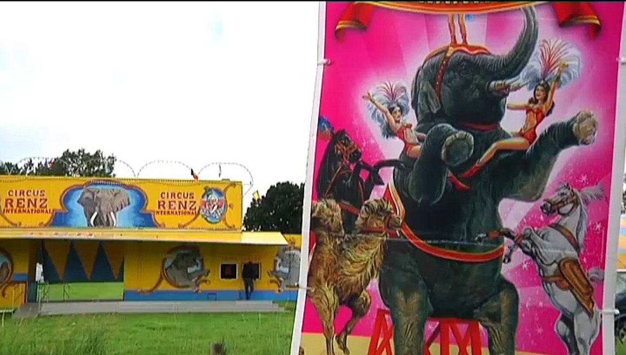 De olifanten kunnen hier altijd rondlopen, ze zijn familie van ons - RTV Noord