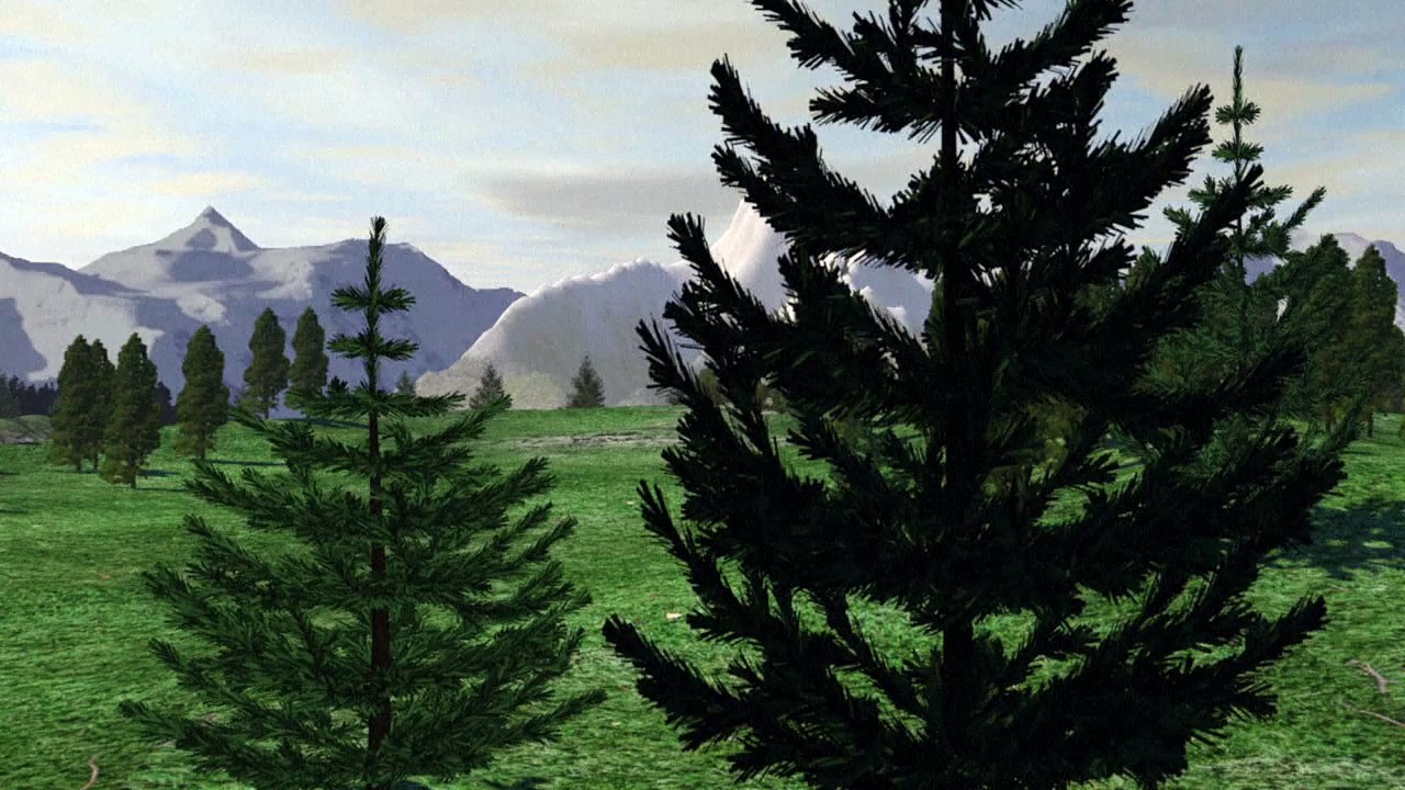 Les avalanches