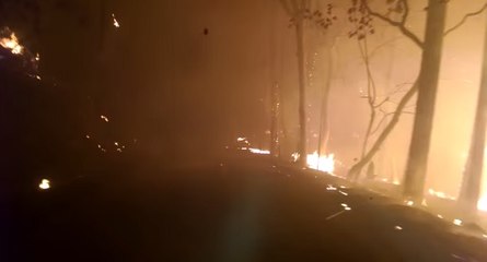 Un automobiliste roule au milieu d'un feu de foret
