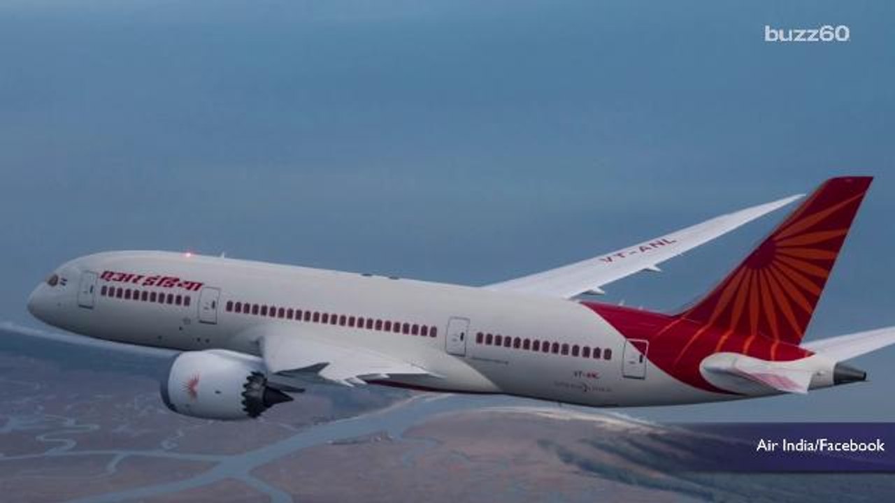 Airline grounds flight attendants for being too fat