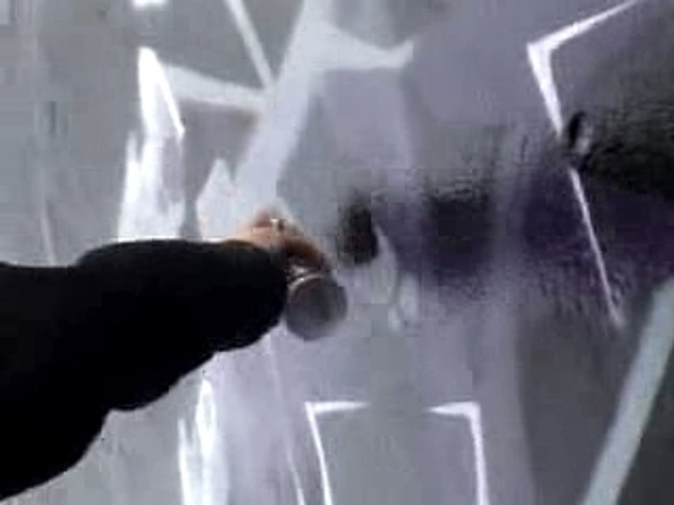 fresque lcn dme lec apf