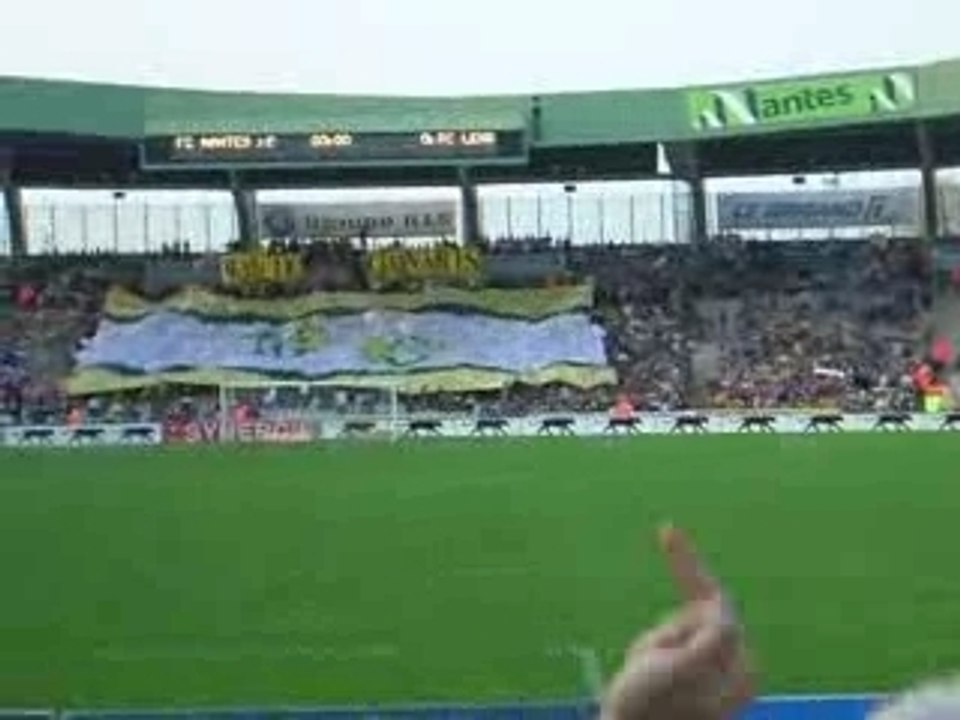 Tifo Magic canaris