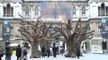 La Royal Academy offre une rétrospective d'Ai Weiwei enfin libre