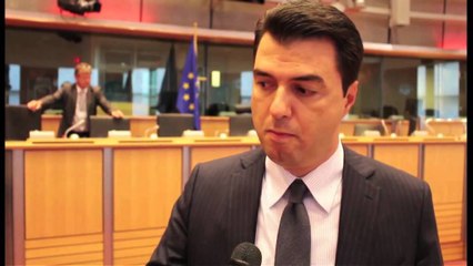 Deklarata në Bruksel. Basha: Dekriminalizimi, beteja për votën