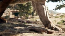 El Libro de la Selva (2016) - Teaser Tráiler Español HD [1080p]