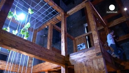 Мир с архитектором и без