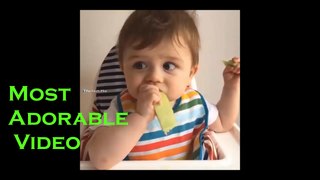 Funny Baby Videos - Cute Baby Eating Melon