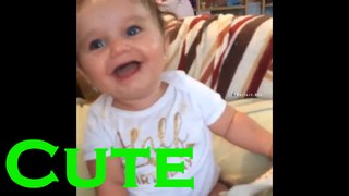 Cutest Baby Laugh Ever - Cute Baby Laughing - Funny Video