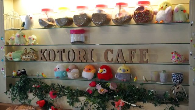 fits　出会い　こんなカフェに行ってみたい☆６