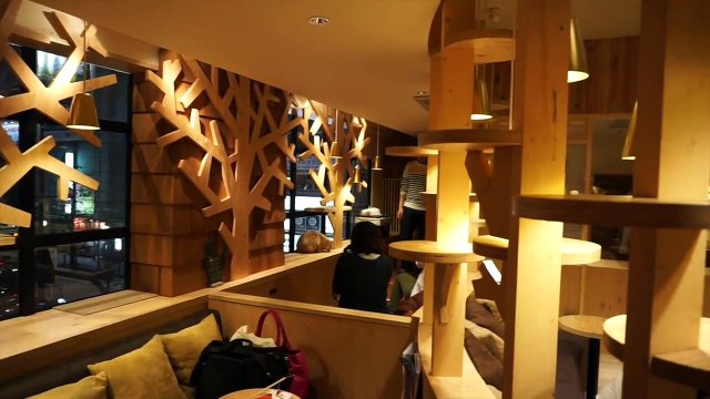 fits　出会い　こんなカフェに行ってみたい☆７