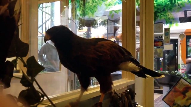 fits　出会い　こんなカフェに行ってみたい☆１０