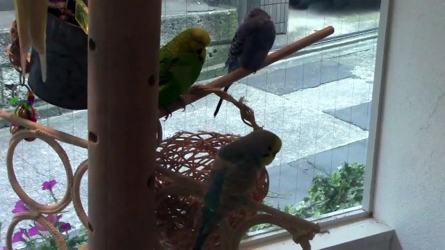 fits　出会い　こんなカフェに行ってみたい☆１３