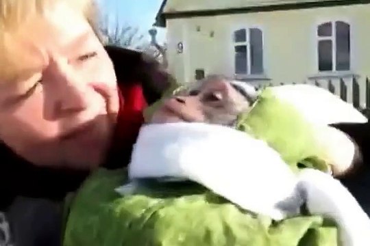 Забавный ребенок на прогулке. Прикол.