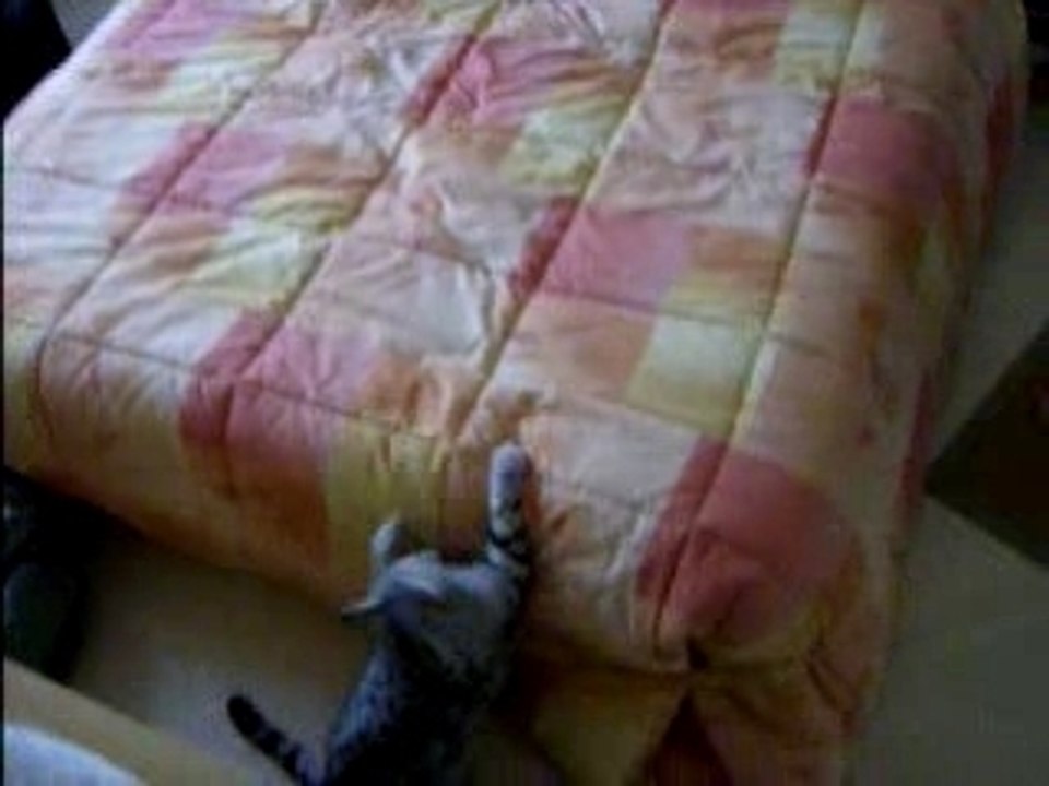 Awai prend le relais!!