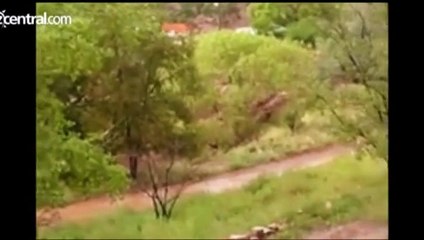 15 morts dont six enfants dans des inondations éclairs aux Etats-Unis