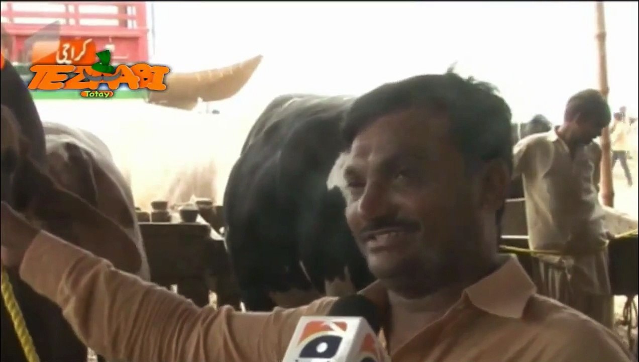 Bakra Eid Funny Tezabi Totay