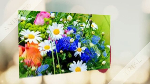 Send Flowers To Patna | by florist in patna, gifts, cake to patna