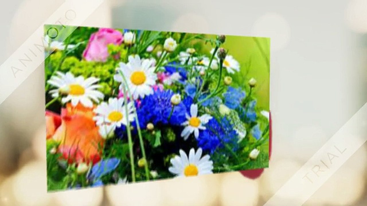 Send Flowers To Patna | by florist in patna, gifts, cake to patna