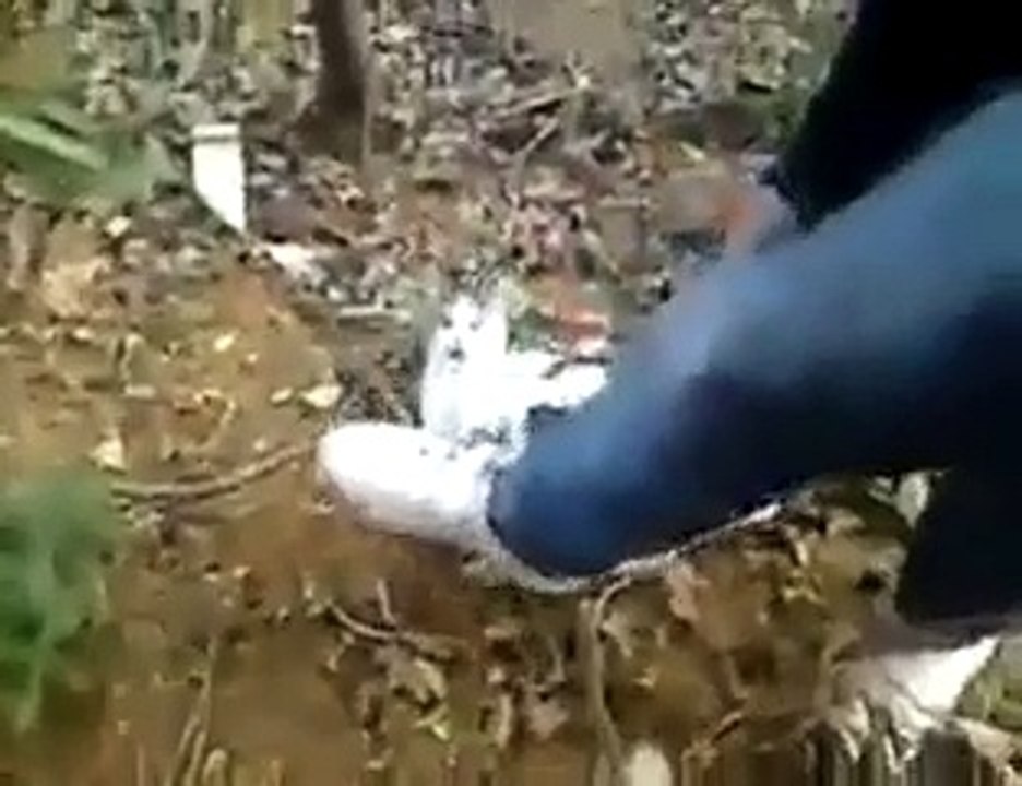 funny video
