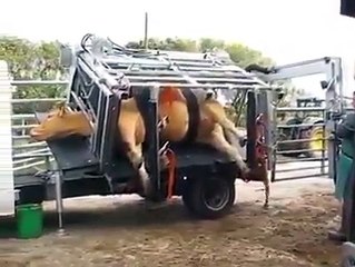 Technology when used Correctly can really do Great things