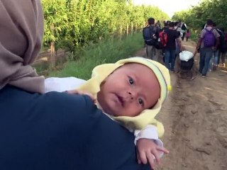 Les premiers migrants entrent en Croatie, nouvelle route vers l'Europe occidentale