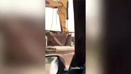 Quand le patron n'est pas là... Petit bain tranquille!