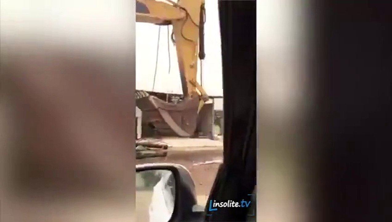 Quand le patron n'est pas là... Petit bain tranquille!