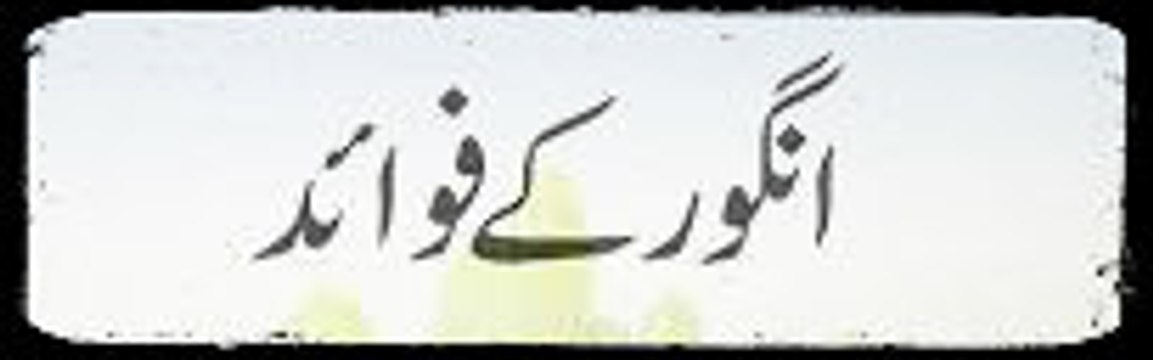 Grapes Health Benefits in URDU