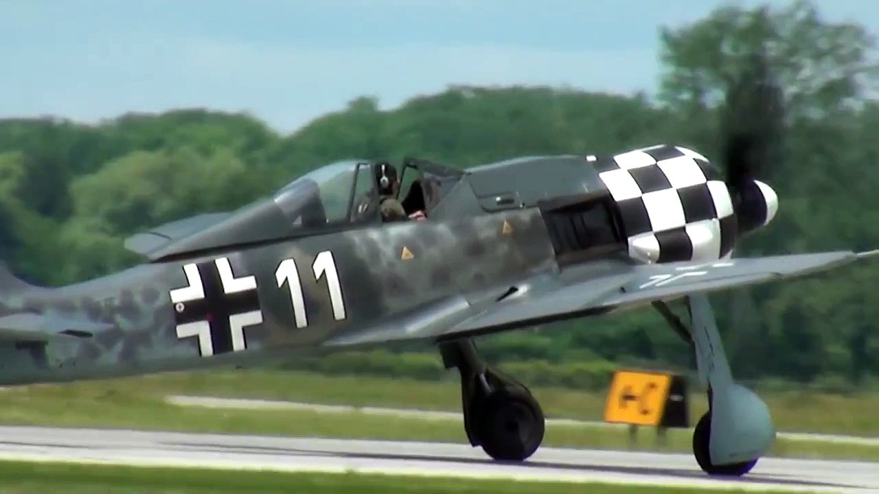 Focke-Wulf FW 190 "The butcher Bird"