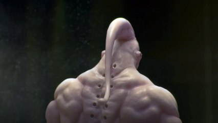 DBZTribute Majin Buu Teaser