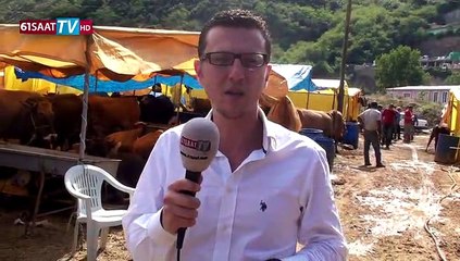 Trabzon Kurban Pazarı ve fiyatlar 1