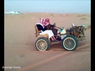 Video Koplak Arab Gila Terbaru  Nyesel Gak Lihat