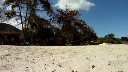 Busca e Retirada de metais ferrosos e não ferrosos das areias, Ubatuba, SP, Brasil,  2015, Parte (14)