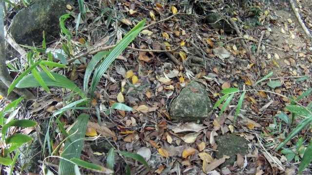 Busca e Retirada de metais ferrosos e não ferrosos das areias, Ubatuba, SP, Brasil, 2015, Parte (4)