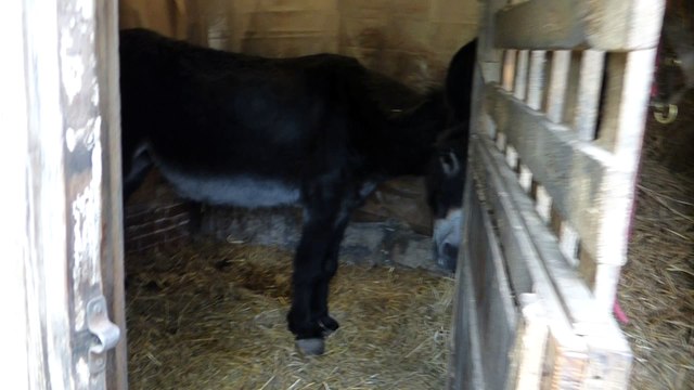 nicolas et tessy mangent. les écuries du dernier recours de wattrelos
