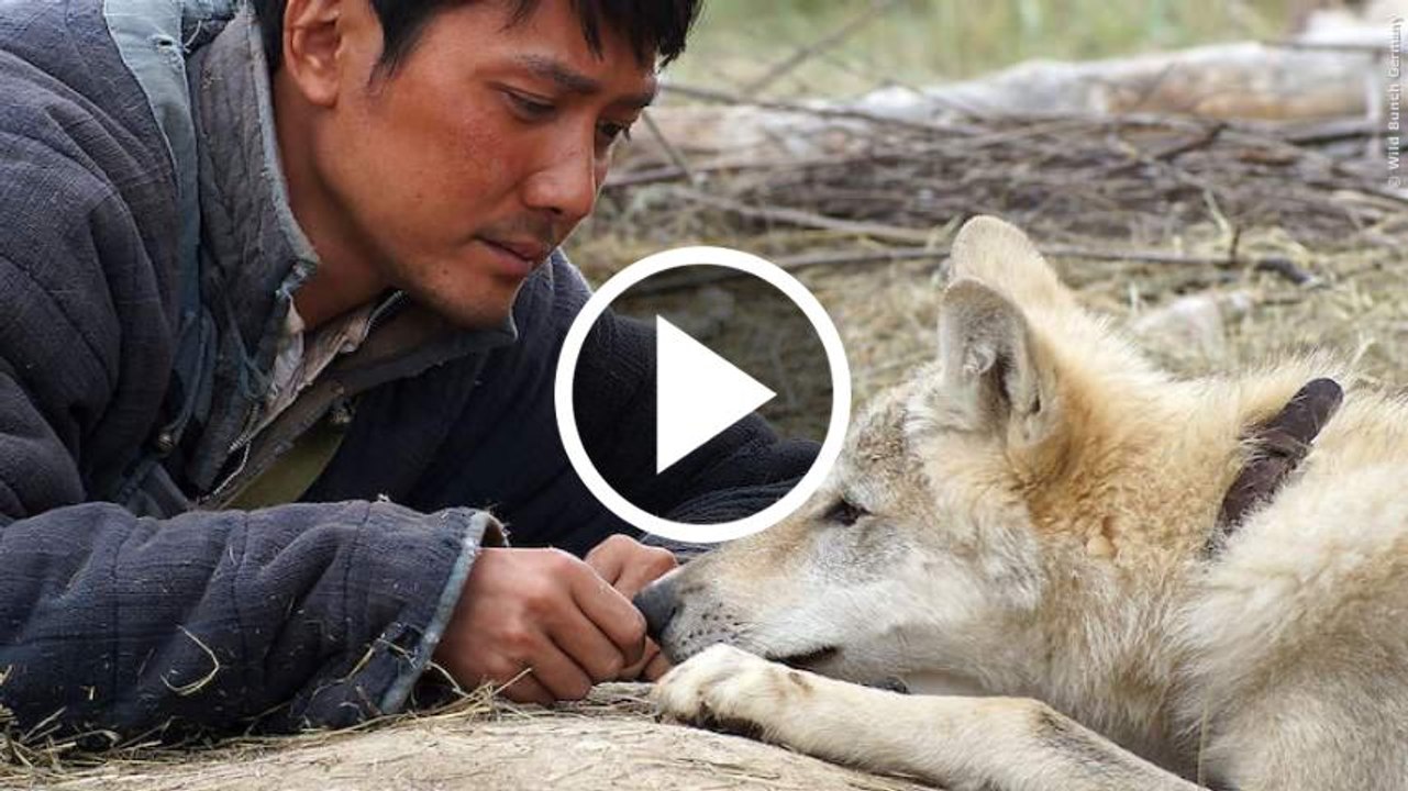 Der Letzte Wolf Trailer (deutsch)