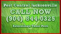 Licensed Ant Protection Companies Jacksonville Florida