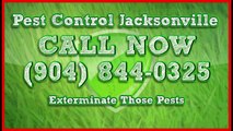 Licensed Pest Control Jacksonville Fl