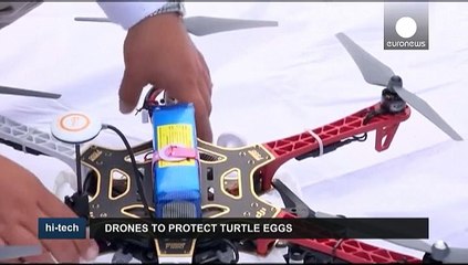 Drones para evitar el saqueo de huevos de tortuga en Oaxaca