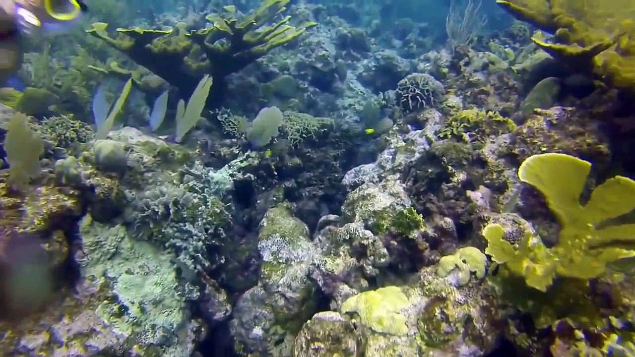 Lucu video lucu pranks Terbaik epik gagal compilation 2015 [Full Episode]