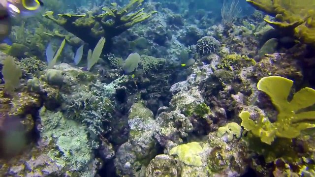 Lucu video lucu pranks Terbaik epik gagal compilation 2015 [Full Episode]