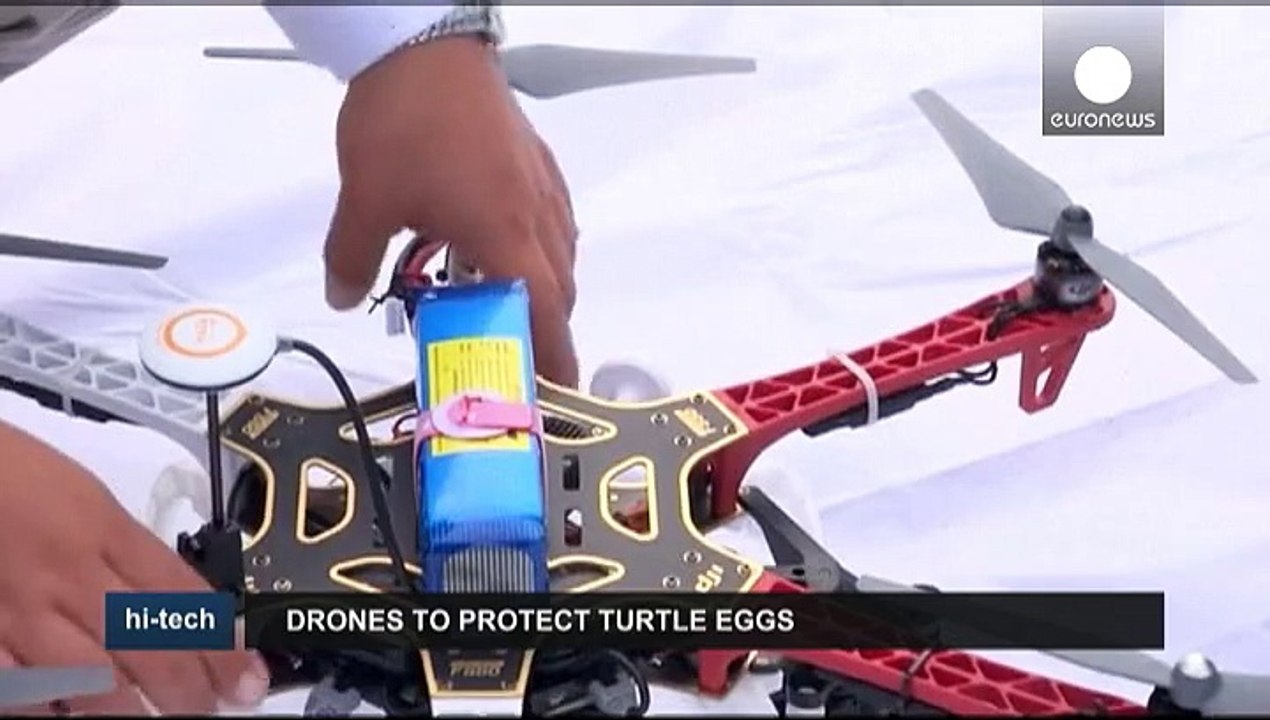 Schutz aus der Luft: Drohnen überwachen Schildkröten