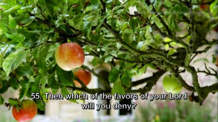 Surah-E-Rehman سورة الرحمن | Reciter  Mishary Rashid Al Afasy