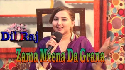 Dil Raj - Zama Meena Da Grana