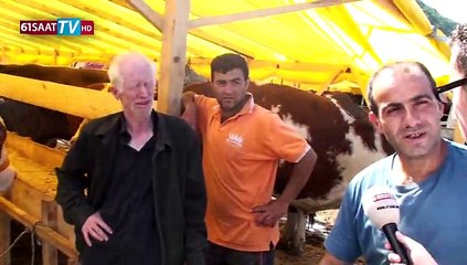 Trabzon'da 1,5 tonluk boğa