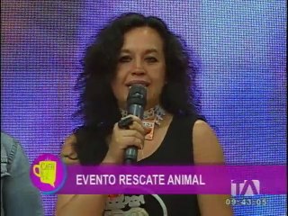 ¡A mover la colita! Ayuda al rescate animal