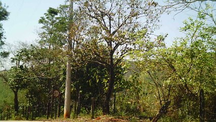 MTB, Bike Rural, Taubaté, SP, Brasil, Mountain bike, estradas rurais, 2015