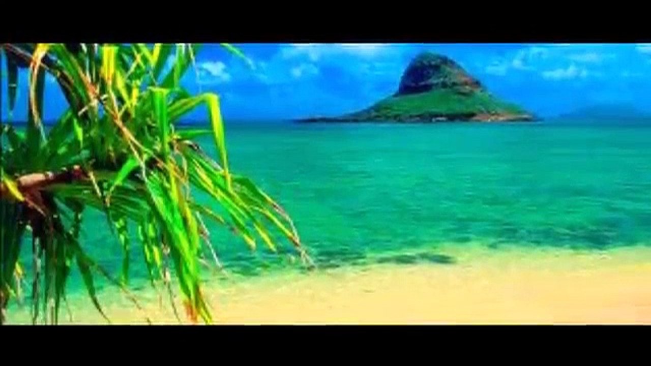 Aylin Vatankoş   Seni ben ellerin olsun diyemi !!