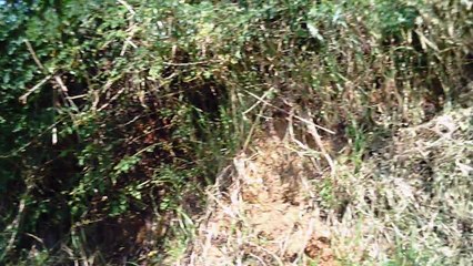 MTB, Bike Rural, Taubaté, SP, Brasil, Mountain bike, estradas rurais, 2015